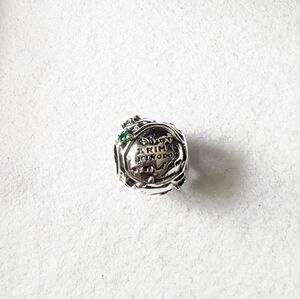 New exclusive Pandora × Disney ANIMAL KINGDOM  silver charm for jewelry bracelet